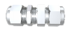 Ŵ